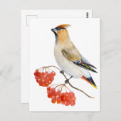 Waterverf bosvogel briefkaart (Voorkant / Achterkant)