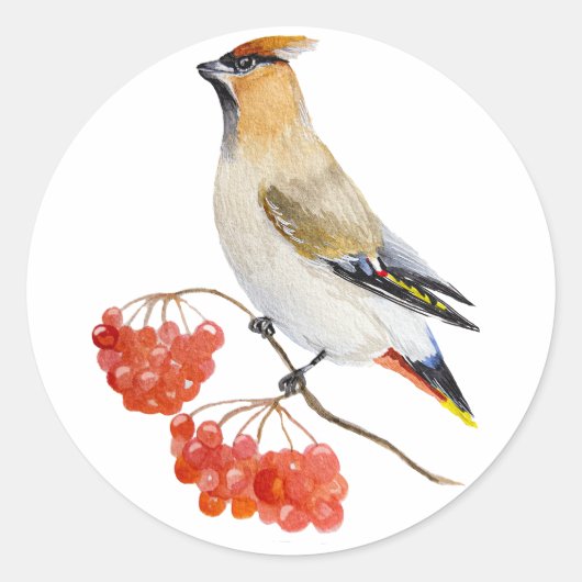 Waterverf bosvogel ronde sticker (Voorkant)