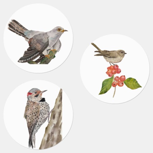 Waterverf bosvogels labels (Groep)