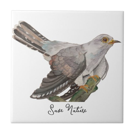 Waterverf bosvogels tegeltje (Voorkant)