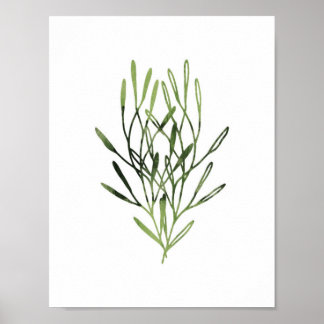 Waterverf botanische afdrukstand poster