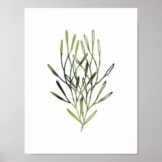 Waterverf botanische afdrukstand poster (Voorkant)