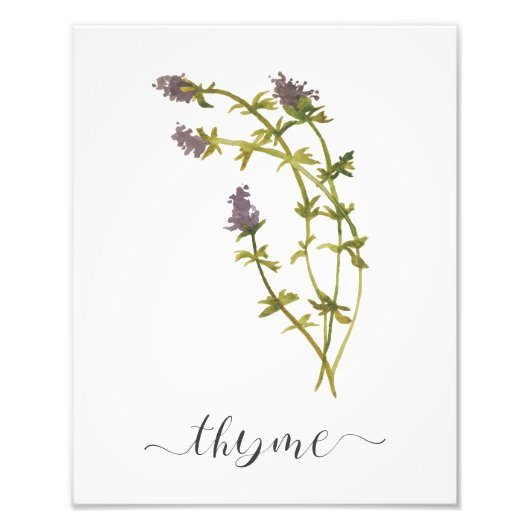Waterverf Botanische Herb Print Thyme Foto Afdruk (Voorkant)