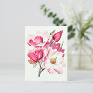 Waterverf Botanische Roze Magnolia Flowers Briefkaart