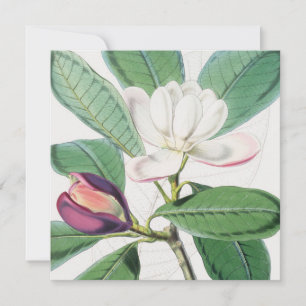 Waterverf Botanische witte Magnolia & groene blade Feestdagenkaart