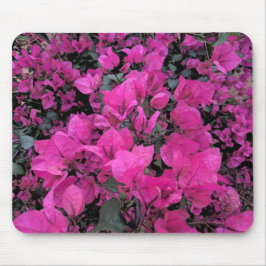 Waterverf Bougainvillea Muismat