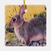 Waterverf Brown Bunny Rabbit  kunst Keramisch Ornament (Voorkant)