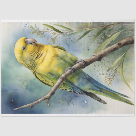 Waterverf Budgie Parakeet Decoupage Tissuepapier (Voorkant)