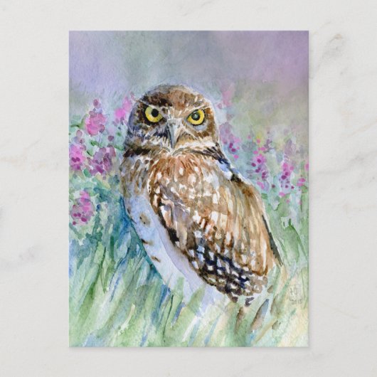 Waterverf Burrowing owl Briefkaart (Voorkant)