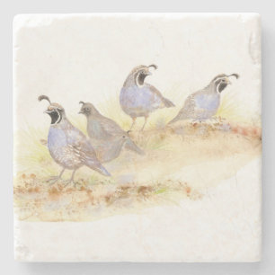 Waterverf California Quail Bird Natuur art Stenen Onderzetter