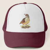Waterverf California Quail Garden Bird Natuur Art Trucker Pet (Voorkant)