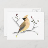 Waterverf Cedar Waxing Briefkaart (Voorkant / Achterkant)