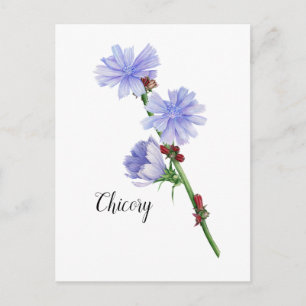 Waterverf Chicory Flowers Briefkaart