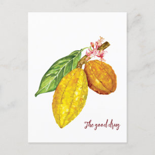 Waterverf chocoladeboomfruit briefkaart
