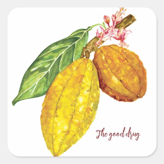 Waterverf chocoladeboomfruit vierkante sticker (Voorkant)