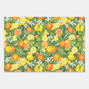 Waterverf Citroen, Sinaasappel en Limoen Citrus Inpakpapier Vel