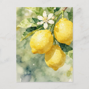 Waterverf Citroen Tak Botanische Zomer Briefkaart