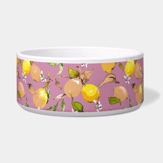 Waterverf citroenen 25 voerbakje (Voorkant)