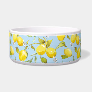 Waterverf citroenen 4 voerbakje