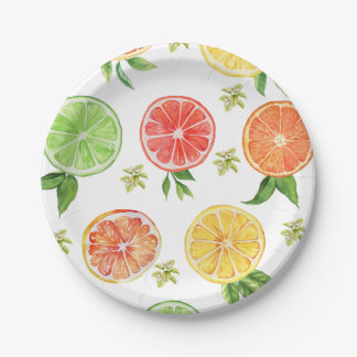 Waterverf Citrus Little Cutie Baby shower Papieren Bordje