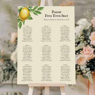 Waterverf Citrus Rustieke Zitting Grafiek Poster