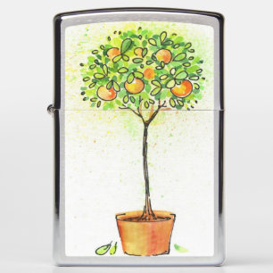 Waterverf citrusboom in potten