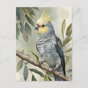 Waterverf Cockatiel Eucalyptus Tree Briefkaart