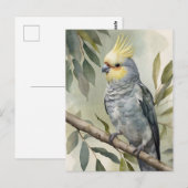 Waterverf Cockatiel Eucalyptus Tree Briefkaart (Voorkant / Achterkant)