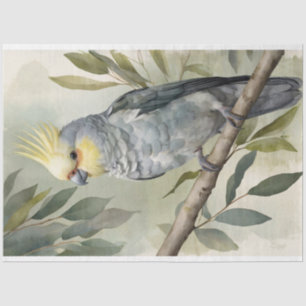 Waterverf Cockatiel Eucalyptus Tree Decoupage Tissuepapier