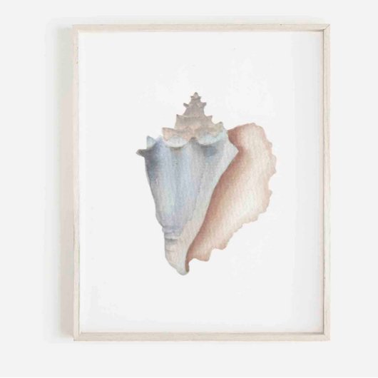 Waterverf conch print