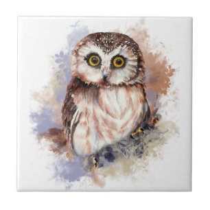 Waterverf Cute Little Saw Whet Owl Bird Tegeltje