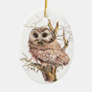Waterverf Cute Saw Whet Owl, Bird Keramisch Ornament