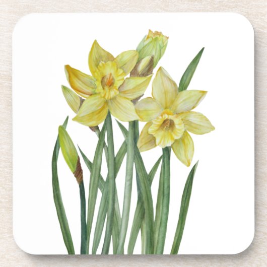 Waterverf Daffodils Flower Portrait Illustratie Bier Onderzetter (Voorkant)