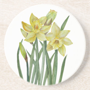 Waterverf Daffodils Flower Portrait Illustratie Zandsteen Onderzetter