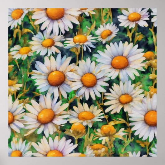 Waterverf Daisy Flowers Tuin Poster (Voorkant)