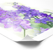 Waterverf Delphiniums Foto Afdruk (Hoek)