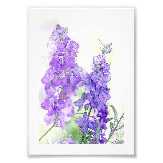 Waterverf Delphiniums Foto Afdruk (Voorkant)
