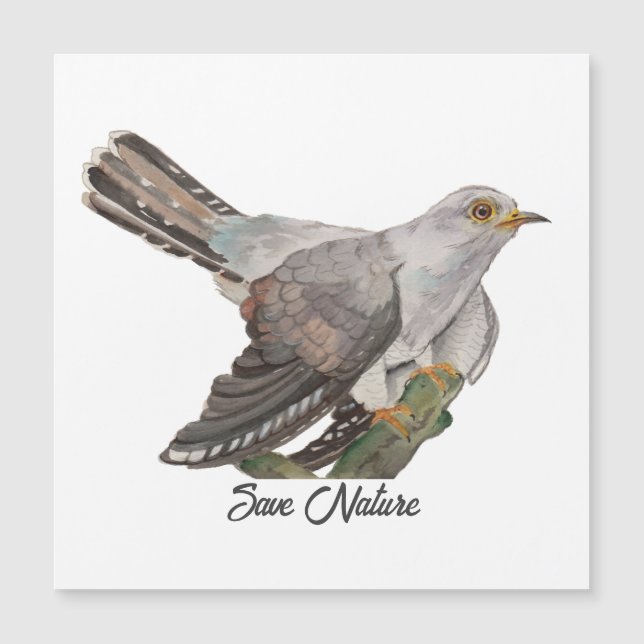 Waterverf die een koekoek schildert (Voorkant)