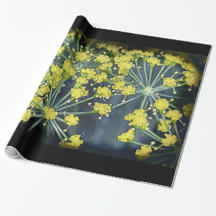 Waterverf Dill op zwart groot Cadeaupapier