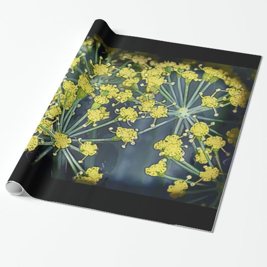 Waterverf Dill op zwart groot Cadeaupapier (Uitgerold)