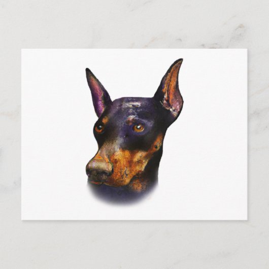Waterverf Doberman Pinscher Briefkaart (Voorkant)