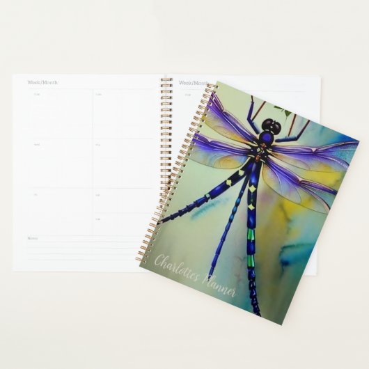 Waterverf Dragonfly, Planner (Display)