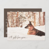 Waterverf Duitse Herder Cadeaubon Briefkaart (Voorkant / Achterkant)