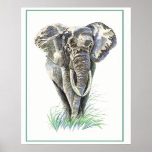 Waterverf Elephant Animal Natuur art. Poster