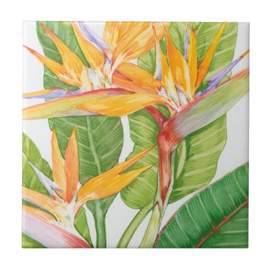 Waterverf exotische bloemen tegeltje (Voorkant)