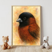 Waterverf Finch Portrait Poster