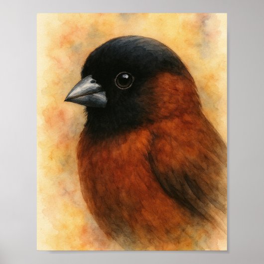 Waterverf Finch Portrait Poster (Voorkant)