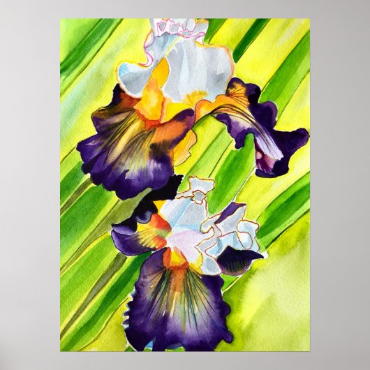Waterverf florale irisbloem poster (Voorkant)