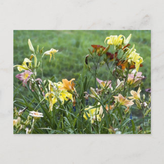 Waterverf Garden Briefkaart