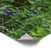 Waterverf Garden Cat Poster (Hoek)